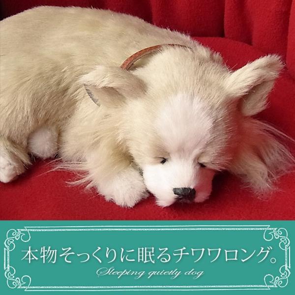 ニニアンドキノ パーフェクトペット (小サイズ) チワワ ロング (クリーム) ぬいぐるみ 犬 いぬ...