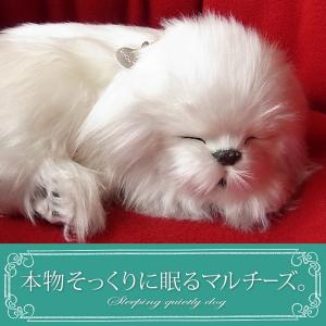 パーフェクトペット マルチーズ ぬいぐるみ 犬 いぬ イヌ リアル 本物 そっくり 最安値 価格比較 Yahoo ショッピング 口コミ 評判からも探せる