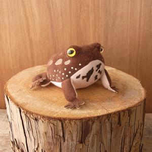 カエルグッズ ぬいぐるみ 雑貨 A Show 栄商 マグネット入りマスコット アメフクラガエル 8cm まんぼう屋ドットコム As 17 まんぼう屋ドットコム Yahoo 店 通販 Yahoo ショッピング