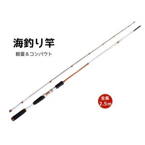 【パックロッド】アブガルシア/ソルティスタイルカラーズ/STCS-664LS/ ソルティースタイルカラーズ」全14機種からアジングに使える