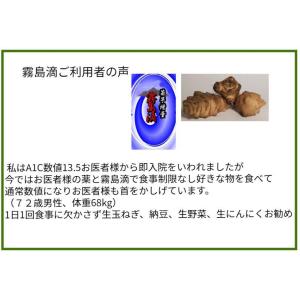 菊芋茶 国産 無農薬 キクイモ イヌリン 24本セット 送料無料