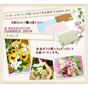 お中元 開店祝い 中輪 ピンク 胡蝶蘭 花 ギ...の詳細画像1