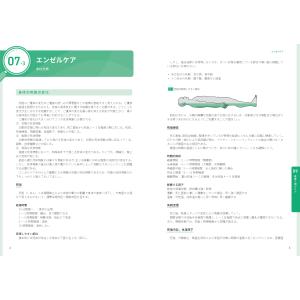 終末期ケア専門士公式テキストの詳細画像2