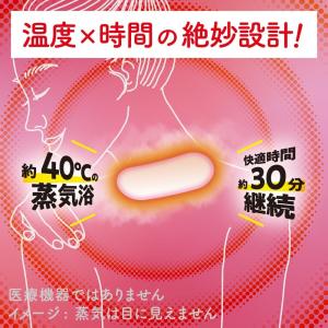 めぐりズム 蒸気めぐる首もとシート グッドナイ...の詳細画像1