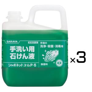 アルボース アルボース石鹸液 i G-N 4kg 無香料 (×4本セット) 10倍液