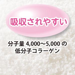 【ニッピ 公式】お徳用&たっぷり2カ月分 脂肪...の詳細画像5