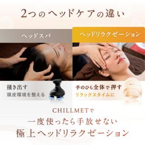 NIPLUX CHILLMET チルメット ヘ...の詳細画像3