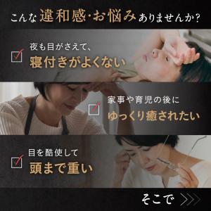 NIPLUX CHILLMET チルメット ヘ...の詳細画像5