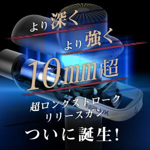 健康ジャンル賞MVP NIPLUX FASCI...の詳細画像4