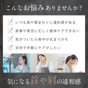 健康ジャンル賞MVP獲得 NIPLUX NEC...の詳細画像5