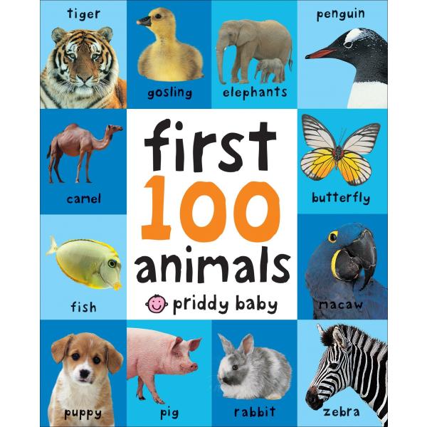 FIRST 100 ANIMALS（英語絵本）単語　動物　ギフト　5 〜 6 歳　ボードブック