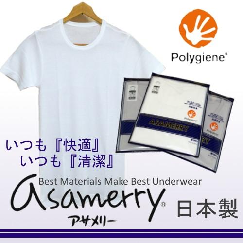 アサメリーフィール 紳士 クルーネック 『ポリジン加工』 (M/L)