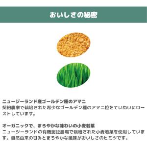 青汁 鉄 葉酸 たんぱく質 オメガ3 アマニ ...の詳細画像3