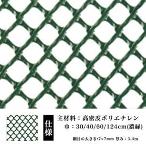 防鳥 防獣 ネトロンネット AN-1 濃緑 620mm×9m 切り売り 菱目 タキロンシーアイ 雨どい 園芸 フェンス 侵入防止 獣害対策 保護 ネトロンシート