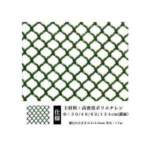 防鳥 防獣 ネトロンネット AN-2 濃緑 300mm×1m 切り売り 菱目 タキロンシーアイ 雨どい 園芸 フェンス 侵入防止 獣害対策 保護 ネトロンシート