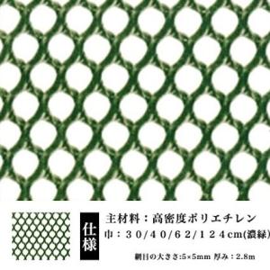 防鳥 防獣 ネトロンネット AN-3 濃緑 40...の商品画像