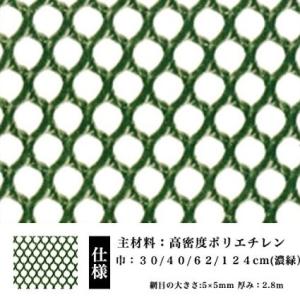 防鳥 防獣 ネトロンネット AN-3 濃緑  620mm×10m 切り売り 菱目 タキロンシーアイ 雨どい 園芸 フェンス 侵入防止 獣害対策 保護 ネトロンシート｜nippon-clever