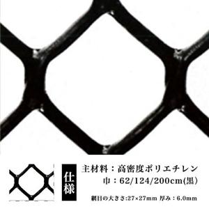 防鳥 防獣 ネトロンネット WF-1 黒 620mm×1m 切り売り 菱目 タキロンシーアイ 雨どい 園芸 フェンス 侵入防止 獣害対策 保護 在庫限り限定価格