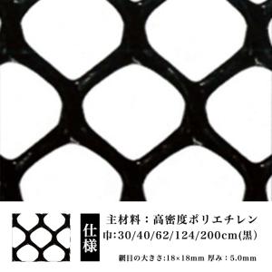 防鳥 防獣 ネトロンネット WF-2 黒  2000mm×1m 切り売り 菱目 タキロンシーアイ 雨どい 園芸 フェンス 侵入防止 獣害対策 保護 ネトロンシート｜nippon-clever