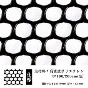 防鳥 防獣 ネトロンネット WF-5 黒 2000mm×2m 切り売り 菱目 タキロンシーアイ 雨どい 園芸 フェンス 侵入防止 獣害対策 保護 ネトロンシート