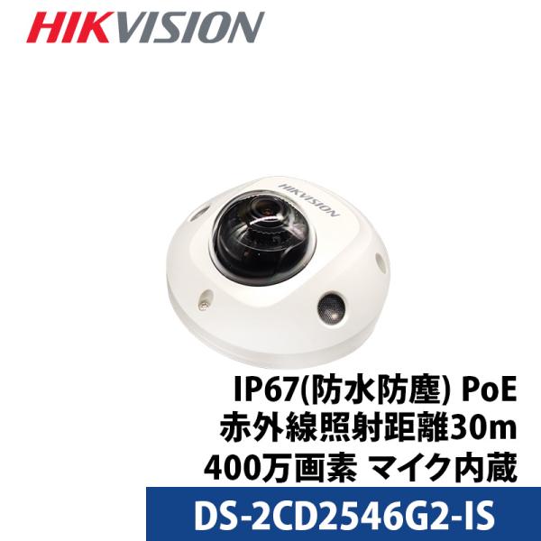 防犯カメラ HIKVISION(ハイクビジョン) 屋外 屋内 400万画素 ミニドーム マイク内蔵 ...