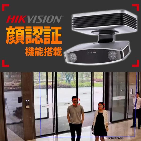【アウトレット】防犯カメラ 顔認証 マイク内蔵 IP HIKVISION iDS-2CD8426G0...