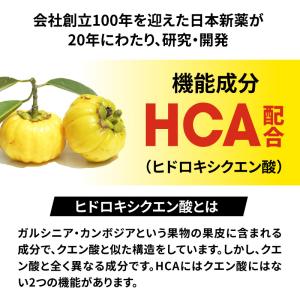 マラソン サプリ ウィンゾーン エナジータブレ...の詳細画像3