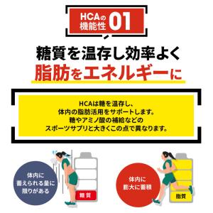 マラソン サプリ ウィンゾーン エナジータブレ...の詳細画像4