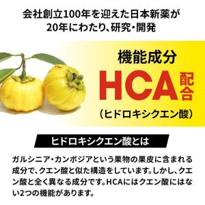【3袋セットで10%オフ】スポーツサプリ ウィ...の詳細画像3