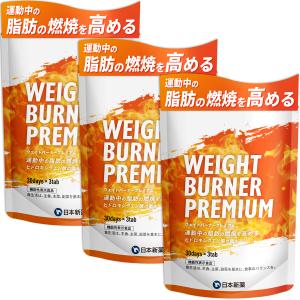 REYS レイズ プレミアムバーナー 120粒 約 30回分 ダイエット