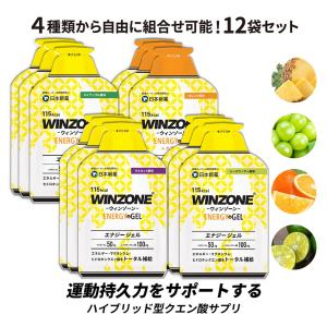 マラソン サプリ エナジージェル ウィンゾーン WINZONE ENERGY GEL 4種類から自由に組合せ可能 12袋セット（3袋ずつ×4） 補給食 スポーツ｜日本新薬ヘルスケアYahoo!ショッピング店