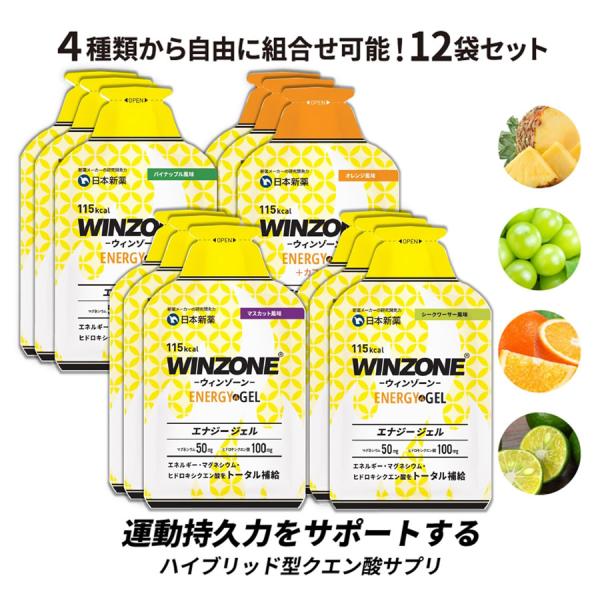 マラソン サプリ エナジージェル ウィンゾーン WINZONE ENERGY GEL 4種類から自由...