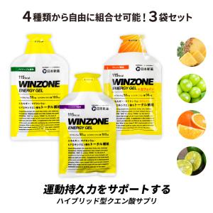 マラソン サプリ エナジージェル ウィンゾーン WINZONE ENERGY GEL 4種類から自由に組合せ可能 3袋セット 補給食 スポーツ｜nippon-shinyaku