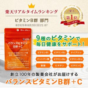 ビタミンB群+ビタミンC お得な3袋セット(9...の詳細画像2