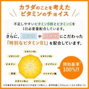 ビタミンB群+ビタミンC お得な3袋セット(9...の詳細画像4