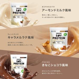 プロテイン ソイ ウィンゾーン 1kg 選べる...の詳細画像5
