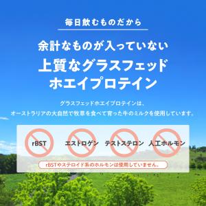 【期間限定!5%OFF 26日23:59まで】...の詳細画像1