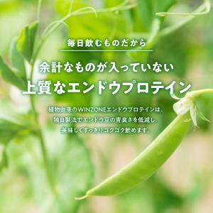 【期間限定 ポイント10倍 5日23:59まで...の詳細画像1