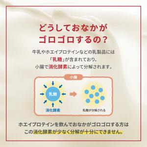 【期間限定 ポイント10倍 25日23:59ま...の詳細画像3