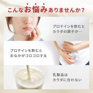 WINZONE おなかにやさしいホエイプロテイ...の詳細画像1