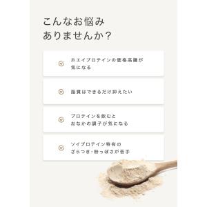 WINZONE エッグプロテイン 1kg バニ...の詳細画像2