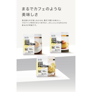 WINZONE エッグプロテイン 1kg バニ...の詳細画像3