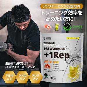 ツインビートR トレーニングに、癒やしに、筋肉のケアに ツインビート3ターボ