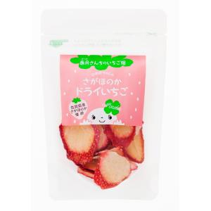 ドライフルーツ 香月さんちのいちご畑 さがほのかドライいちご 15g /イチゴ 苺 国産 ドライフルーツ 佐賀県産 いちごだけ ヨーグルト 紅茶 グラノーラ 朝食 間食
