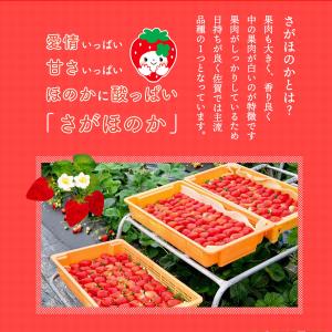 ドライフルーツ 香月さんちのいちご畑 さがほの...の詳細画像2