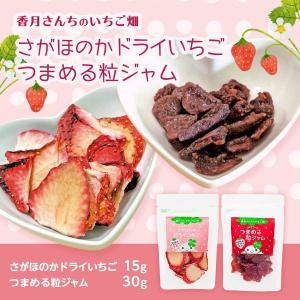 ドライフルーツ 香月さんちのいちご畑 ドライい...の詳細画像2
