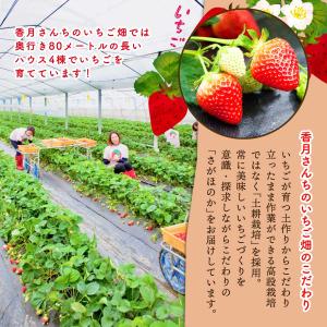 レアチーズケーキ 香月さんちのいちご畑 ひめち...の詳細画像3