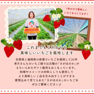 レアチーズケーキ 香月さんちのいちご畑 ひめち...の詳細画像4