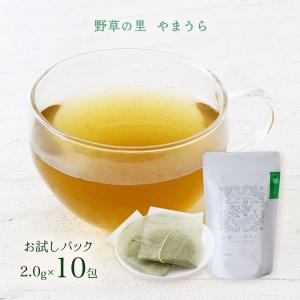 お茶 野草の里やまうら よもぎ茶 お試しパックク...の商品画像