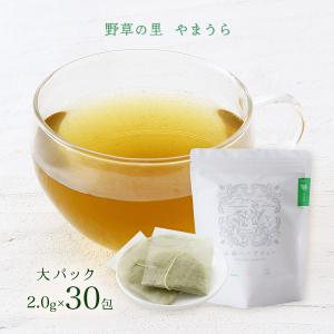 お茶 野草の里やまうら よもぎ茶 大パック 60...の商品画像